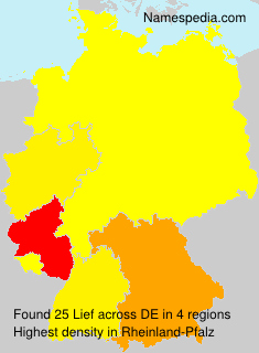 Surname Lief in Germany Surname Lief in Germany