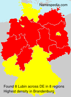 Surname Lubin in Germany Surname Lubin in Germany