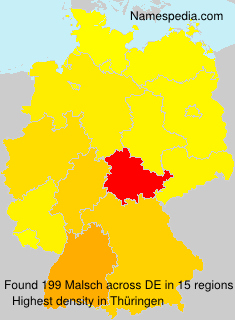 Surname Malsch in Germany Surname Malsch in Germany