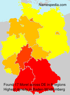 Surname Morel in Germany Surname Morel in Germany