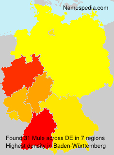 Surname Mule in Germany Surname Mule in Germany