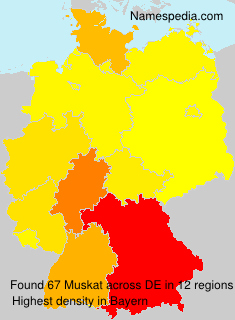 Surname Muskat in Germany Surname Muskat in Germany