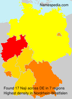 Surname Naji in Germany Surname Naji in Germany