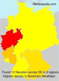 Neustein Neustein