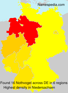 Nothvogel Nothvogel