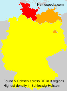 Ochsen Ochsen