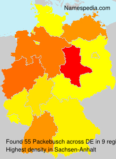 Packebusch Packebusch