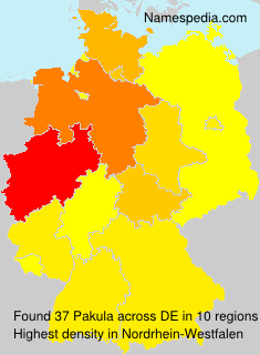 Surname Pakula in Germany Surname Pakula in Germany