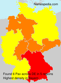Surname Pav in Germany Surname Pav in Germany
