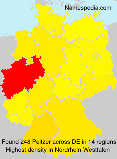 Surname Peltzer in Germany Surname Peltzer in Germany