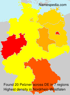 Surname Pelzner in Germany Surname Pelzner in Germany