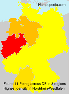 Surname Pethig in Germany Surname Pethig in Germany