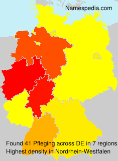 Surname Pfleging in Germany Surname Pfleging in Germany