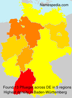 Surname Pflueger in Germany Surname Pflueger in Germany
