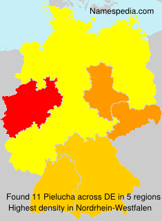 Surname Pielucha in Germany Surname Pielucha in Germany