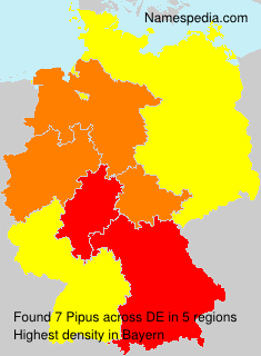Surname Pipus in Germany Surname Pipus in Germany