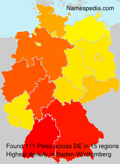 Surname Pless in Germany Surname Pless in Germany