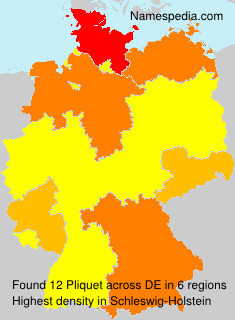 Surname Pliquet in Germany Surname Pliquet in Germany