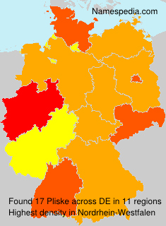 Surname Pliske in Germany Surname Pliske in Germany