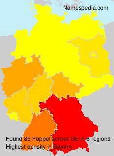 Poppel Poppel