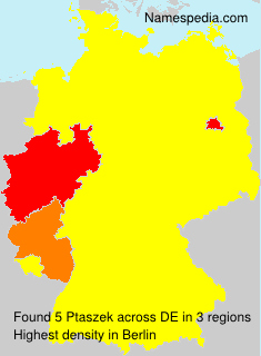 Surname Ptaszek in Germany Surname Ptaszek in Germany