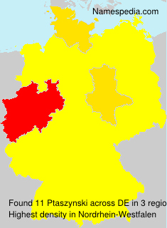 Surname Ptaszynski in Germany Surname Ptaszynski in Germany