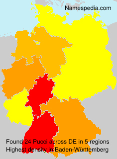 Surname Pucci in Germany Surname Pucci in Germany