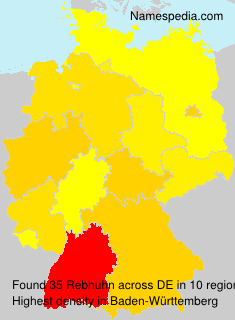 Rebhuhn Rebhuhn
