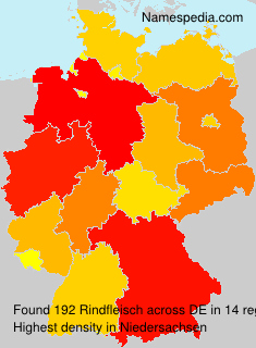 Surname Rindfleisch in Germany Surname Rindfleisch in Germany
