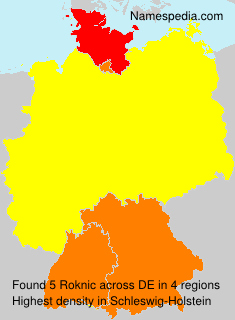 Roknic Roknic