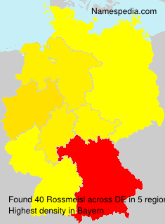 Rossmeisl Rossmeisl