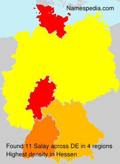 Surname Salay in Germany Surname Salay in Germany