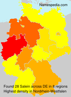 Surname Salein in Germany Surname Salein in Germany