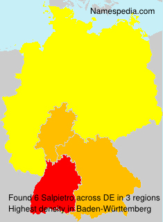 Surname Salpietro in Germany Surname Salpietro in Germany