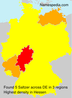 Surname Saltzer in Germany Surname Saltzer in Germany