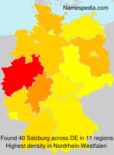 Surname Salzburg in Germany Surname Salzburg in Germany