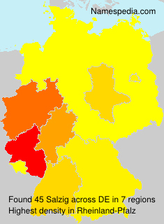 Surname Salzig in Germany Surname Salzig in Germany
