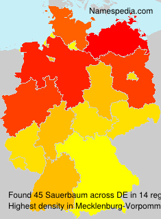 Sauerbaum Sauerbaum