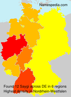 Surname Saygi in Germany Surname Saygi in Germany