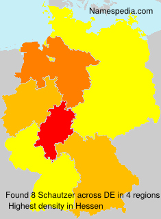 Schautzer Schautzer