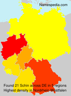 Schin Schin