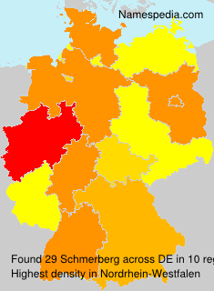 Surname Schmerberg in Germany Surname Schmerberg in Germany