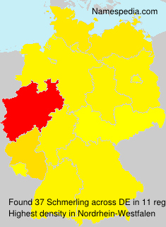 Schmerling Schmerling
