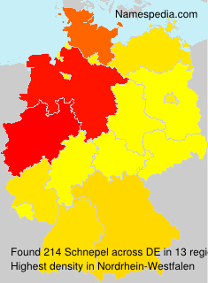 Schnepel Schnepel