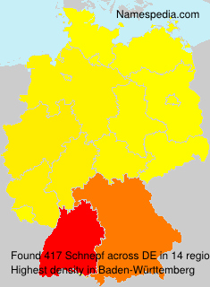 Surname Schnepf in Germany Surname Schnepf in Germany