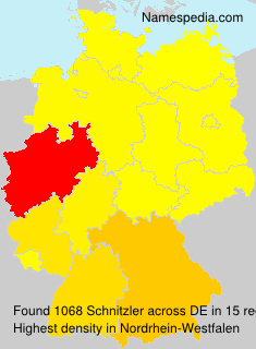 Surname Schnitzler in Germany Surname Schnitzler in Germany