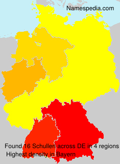 Schulleri Schulleri
