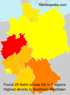 Surname Selim in Germany Surname Selim in Germany
