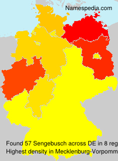 Surname Sengebusch in Germany Surname Sengebusch in Germany