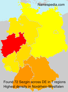 Surname Sezgin in Germany Surname Sezgin in Germany